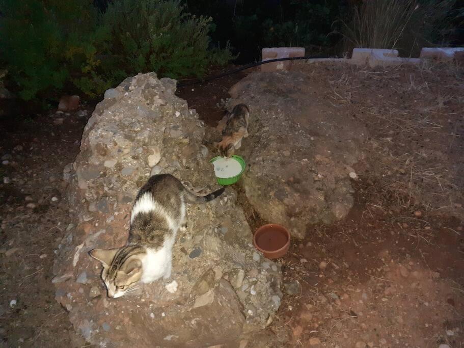 Το Σπίτι Που Σε Ταξιδεύει Villa Agia Galini  Luaran gambar