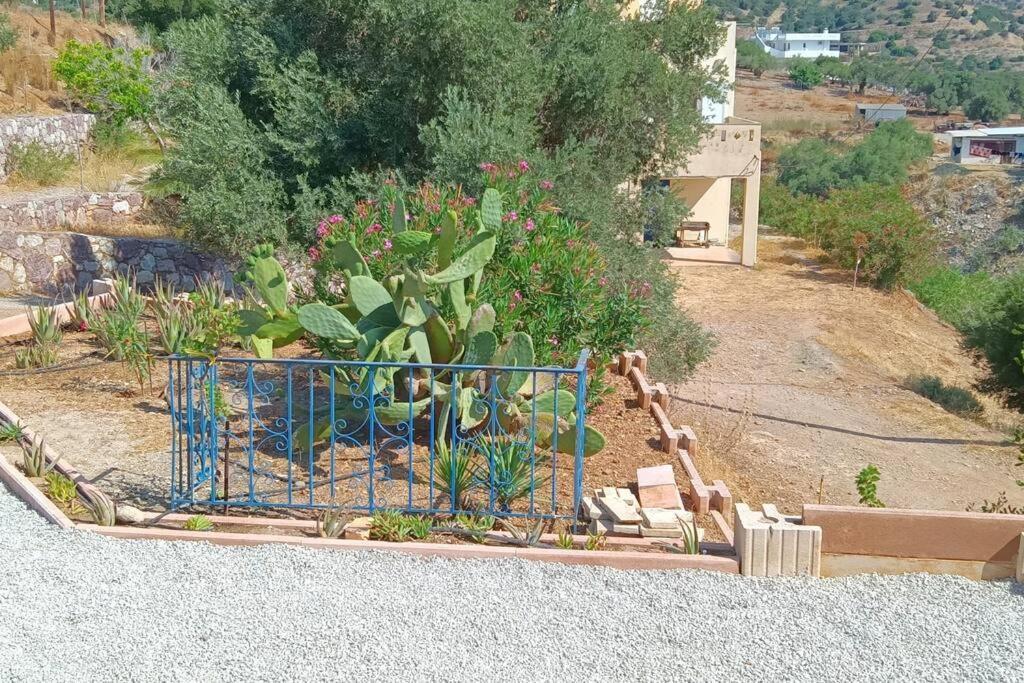 Το Σπίτι Που Σε Ταξιδεύει Villa Agia Galini  Luaran gambar